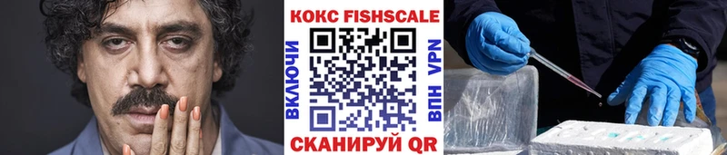 shop формула  Сокол  Cocaine 99% 