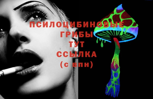 амф Россошь