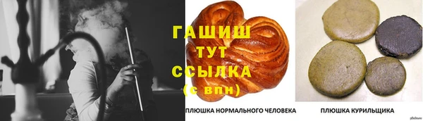 амф Россошь