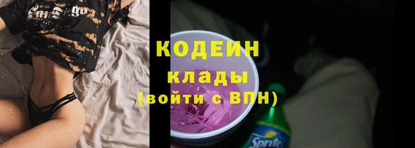 шишки Рославль