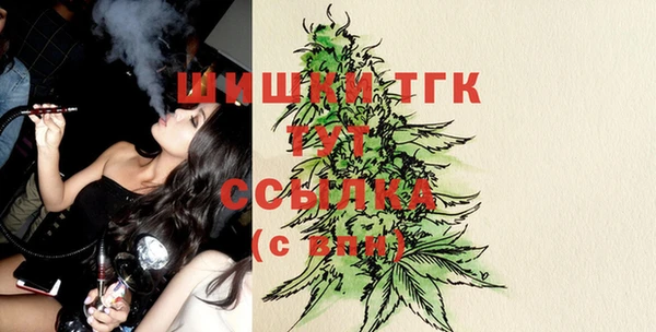 шишки Рославль
