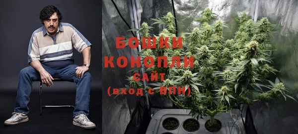 шишки Рославль