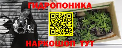 МДПВ Кимры