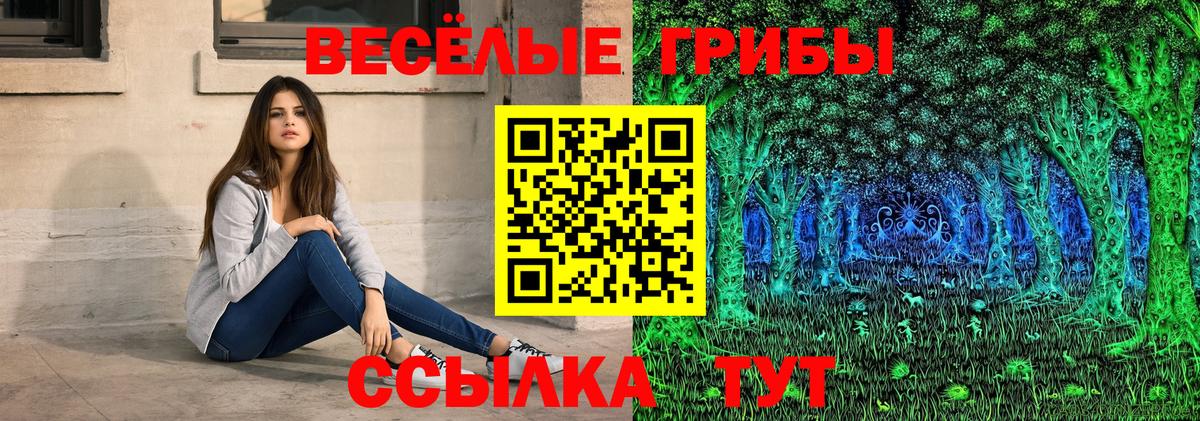 Галлюциногенные грибы GOLDEN TEACHER Сокол