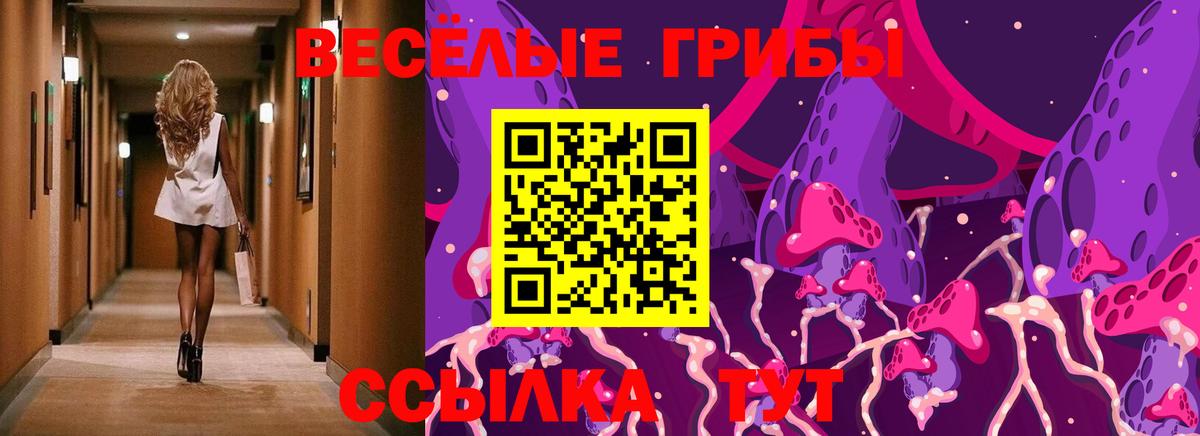 Сокол  Псилоцибиновые грибы мухоморы  сколько стоит  Галлюциногенные грибы Magic Shrooms  Вход с VPN 